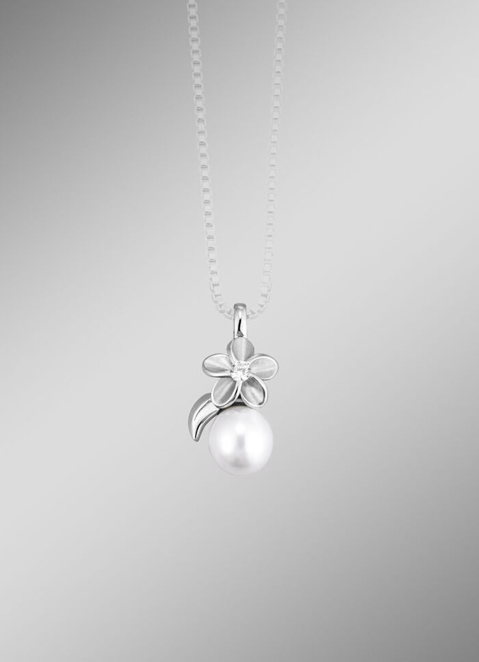 Chique hanger 