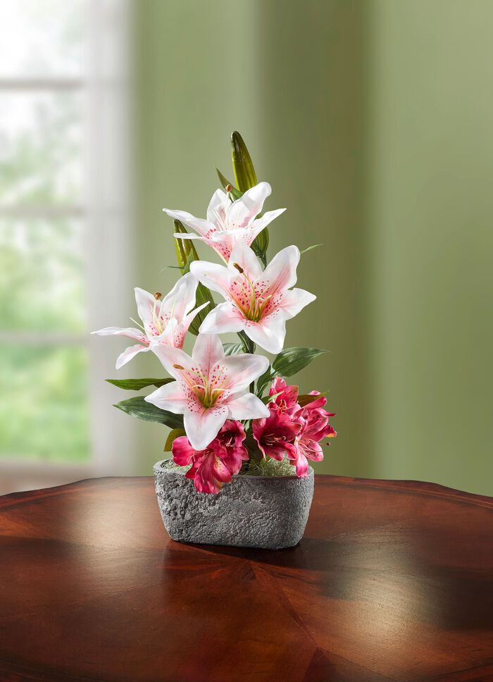 Lelie arrangement in een pot 