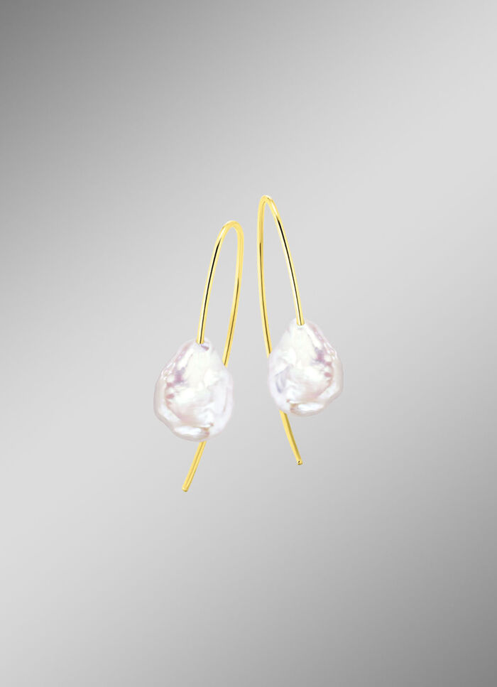 Oorhaakjes goud 585/- 