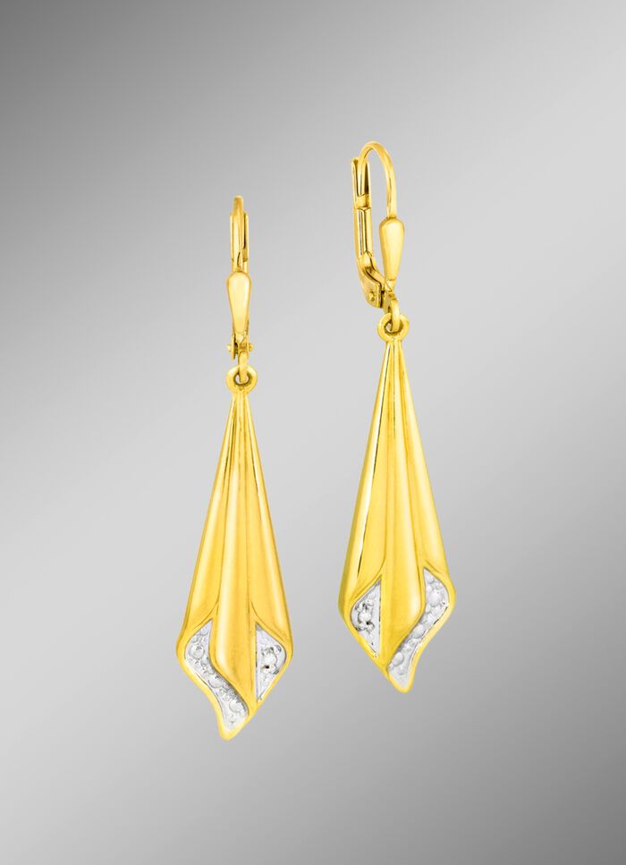 Aantrekkelijke oorbellen in tweekleurig 