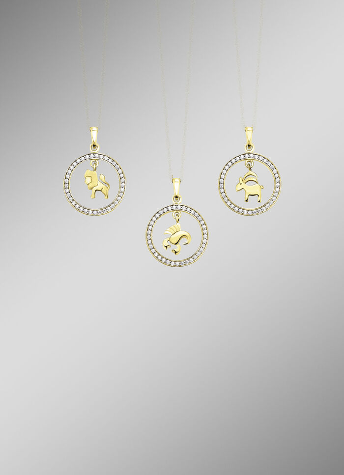Gouden dierenriemhanger met zirkonia 