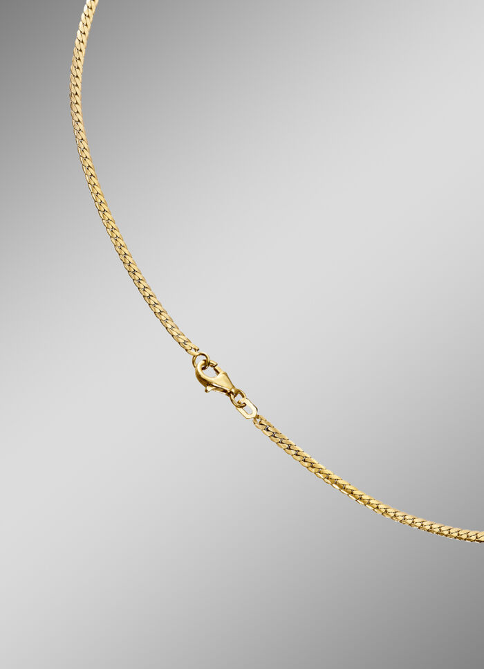 Aantrekkelijke kinketting met karabijnsluiting 