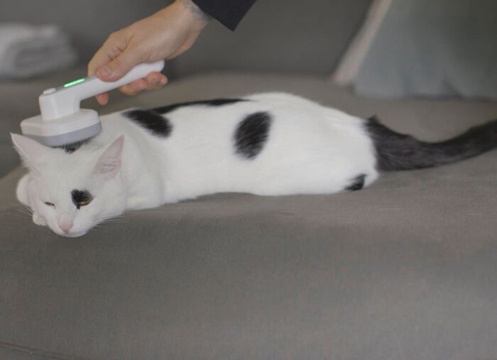 "PiddiPet IonBrush" borstel voor dierenhaar 