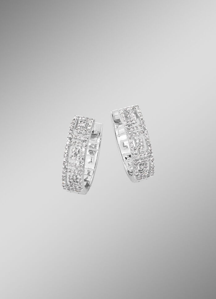 Stralende oorringen met diamanten 