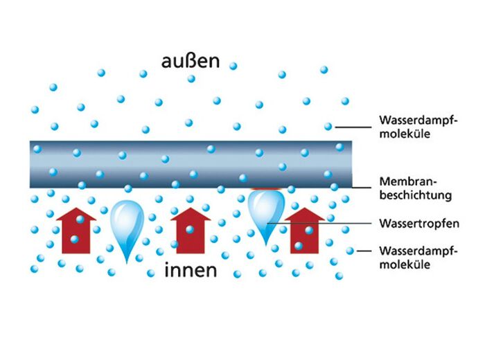 incontinentieslips voor mannen en vrouwen 