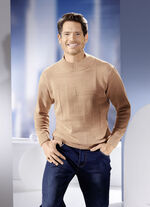 Pullover met een gestructureerd dessin in 3 kleuren CAMEL